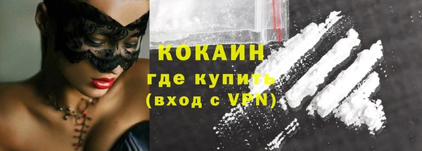 мдпв Инсар
