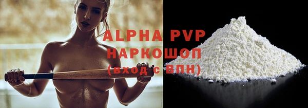 PSILOCYBIN Ельня