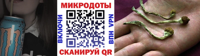 где можно купить наркотик  Змеиногорск  Галлюциногенные грибы Psilocybine cubensis 